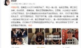 网红炒作爆料视频大全集,视频大全集深度解析